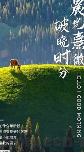 手机德州扑克辅助-手机德州扑克辅助，提升游戏技巧与策略的新途径